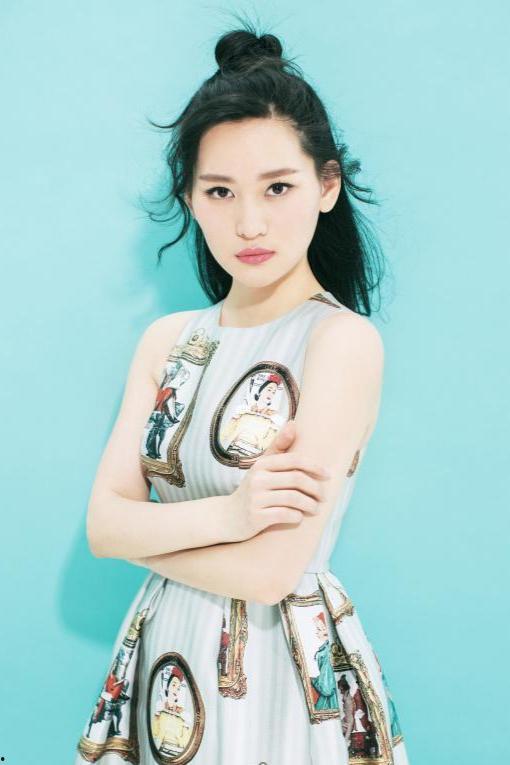 明星刘银银,闪耀荧屏的璀璨星辉