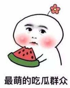 哪天吃瓜去微笑,揭秘瓜界笑谈背后的故事